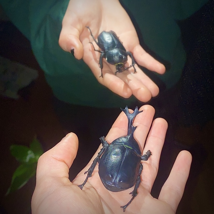 a mirror photo of a hand holding a rhinoceros beetle figurine