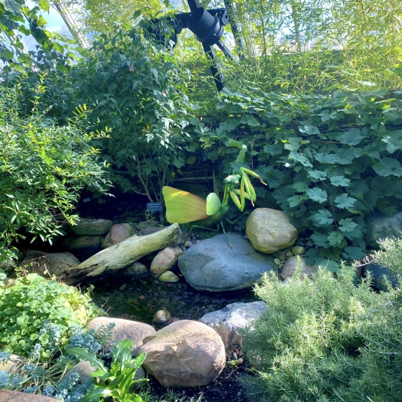 a picture of a mantis statue next to a small pond in a lush botanical conservatory
