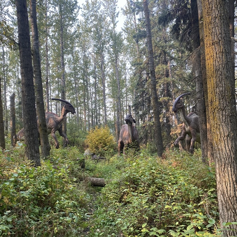 several parasaurolophus animatronics in the woods