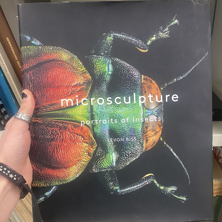 the book 'microsculpture: portraits of insects' by levon bliss with a closeup photo of a multicoloured beetle on the cover