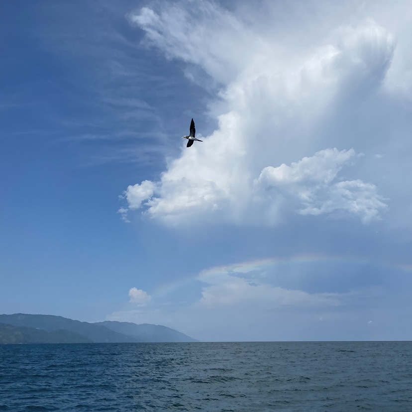 a picture of the ocean with clouds, a rainbow, and a cocos booby above, and mountains to the left